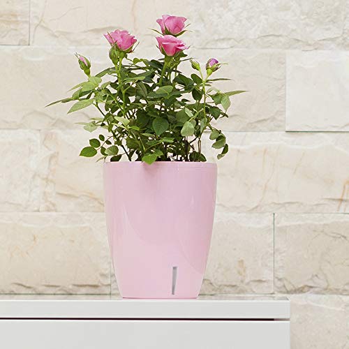 Santino 4.9 Inch Self Watering Orchid Pot in Lavender - Decorative Wicking Planter with Aeration, Drainage & Water Level Indicator - Perfect for Indoor Plants, Home Decor, and Office Spaces