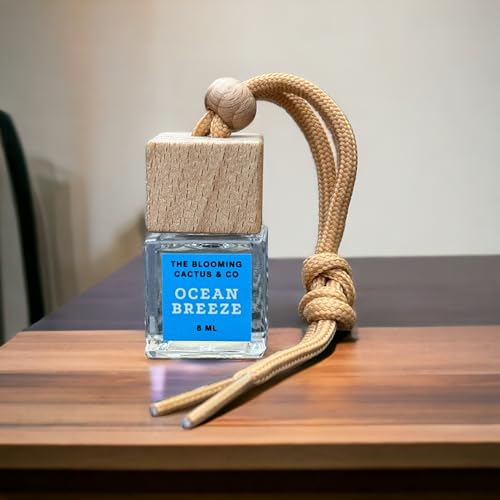 Premium Car Diffuser - Aromatherapy Essential Oil Diffuser for Cars & Small Spaces | Portable Scented Air Freshener with Ocean Breeze Fragrance (8ml) | Perfect for Road Trips, Office & Home Use