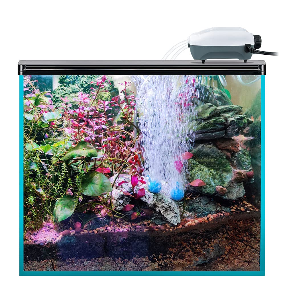 HITOP Dual Outlet Aquarium Electric Air Pump - Adjustable Quiet Oxygen Aerator for Fish Tank (20-100 Gallon) with Accessories | Ideal for Home Aquariums, Fish Breeding & Hydroponics Systems