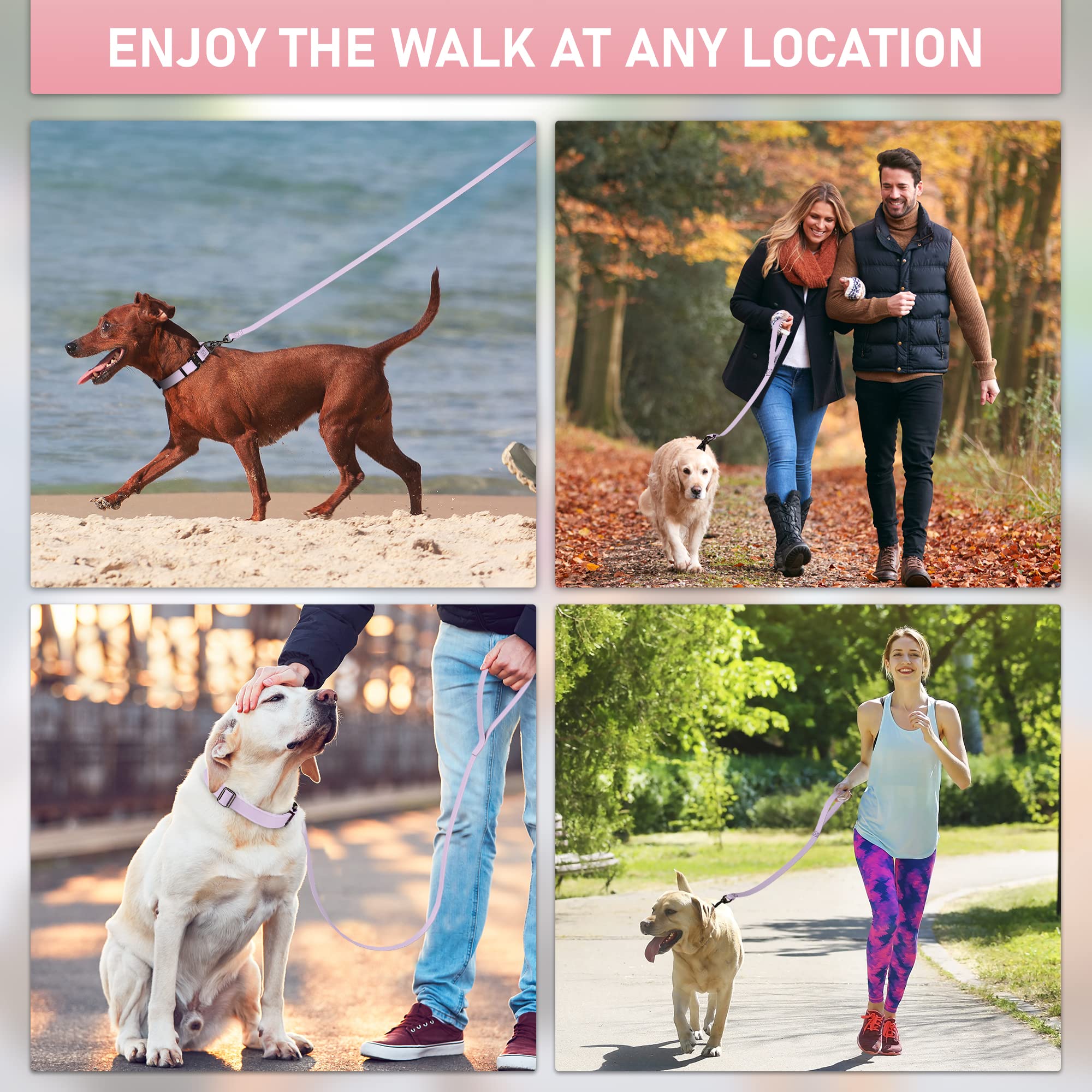Biothane Heavy Duty Dog Leash - 6FT Waterproof Dog Lead for Large, Medium & Small Dogs - Made in USA with Brass Carabiner Clip (Lavender) - Perfect for Walking, Training & Outdoor Adventures