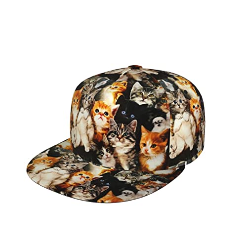 Cat 02
