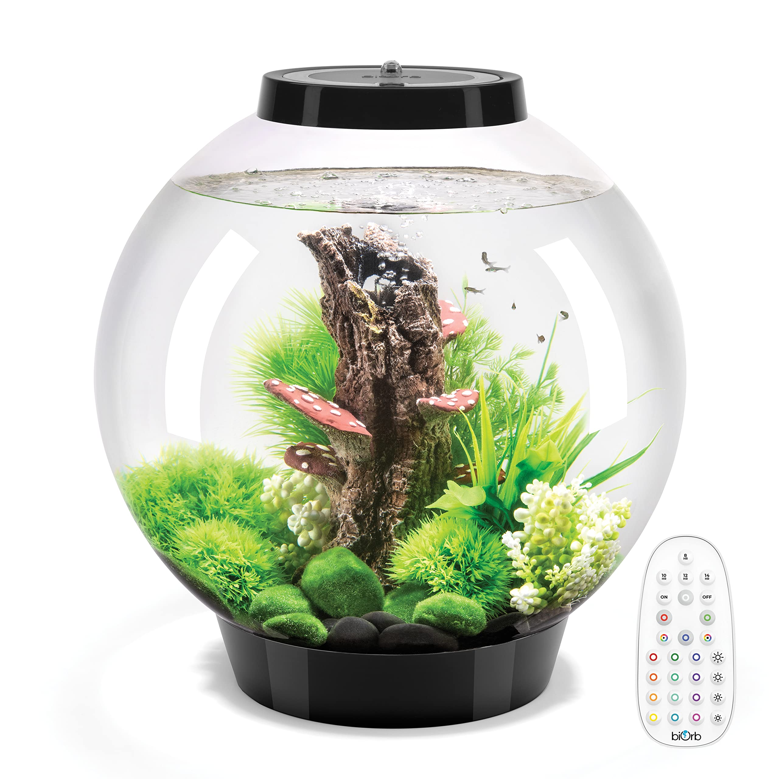 biOrb Classic 30 Acrylic 8-Gallon Aquarium with Multi-Color Remote-Controlled LED Lights - Modern Black Tabletop Fish Tank for Home & Office Decor | Perfect for Small Spaces, Living Rooms, and Desktop Displays