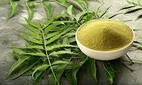 Pure Neem Powder 25g - Organic Neem Leaf Powder for Skin, Hair & Overall Health - Goyam Merchando | Natural Remedy for Acne, Dandruff & Immune Support