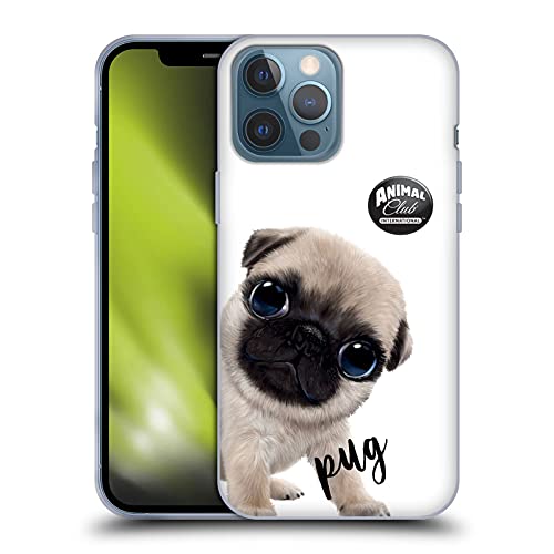 Pug