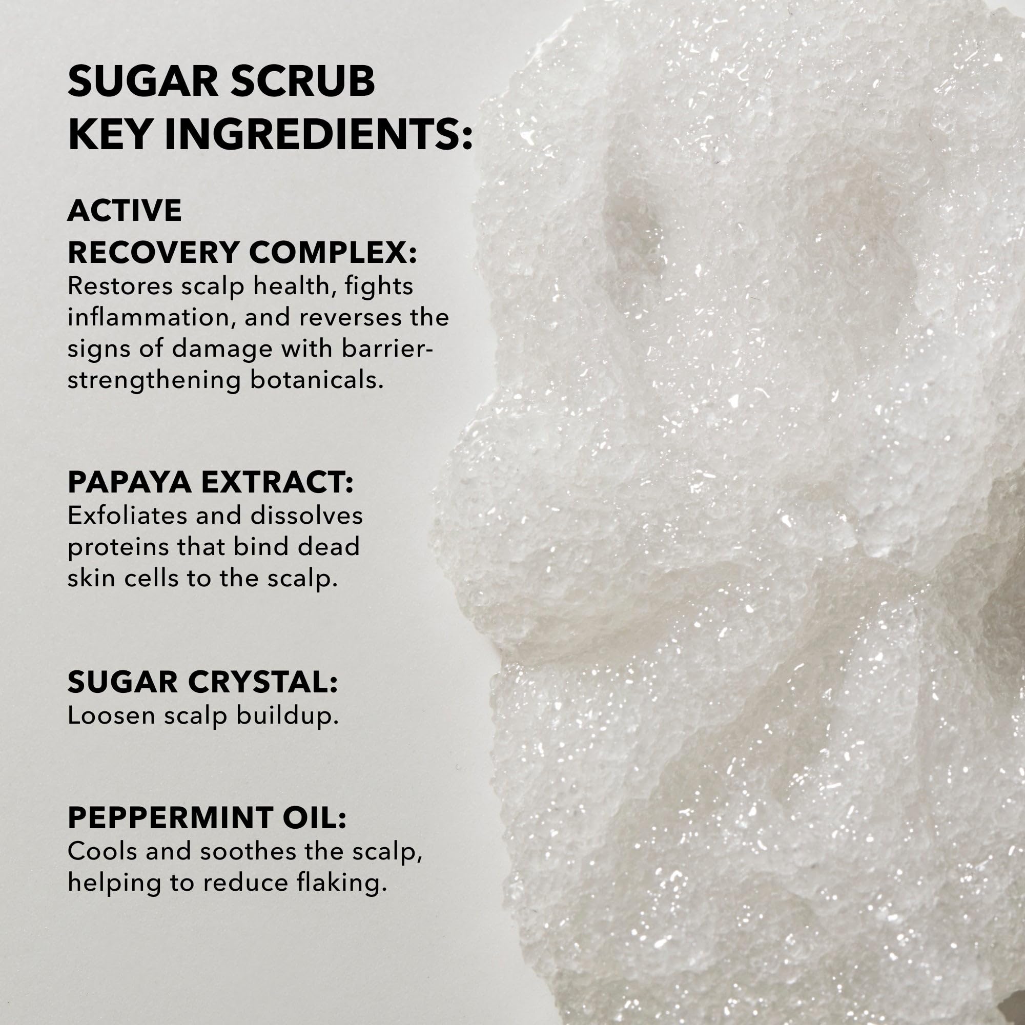 SUNDAY II SUNDAY Deluxe Signature Hair Wash System - Scalp Balancing Shampoo, Sugar Scrub & Replenishing Conditioner Set (8-Piece) for Hair Revitalization & Rejuvenation | Perfect for Dry, Damaged Hair & Scalp Care at Home or Salon