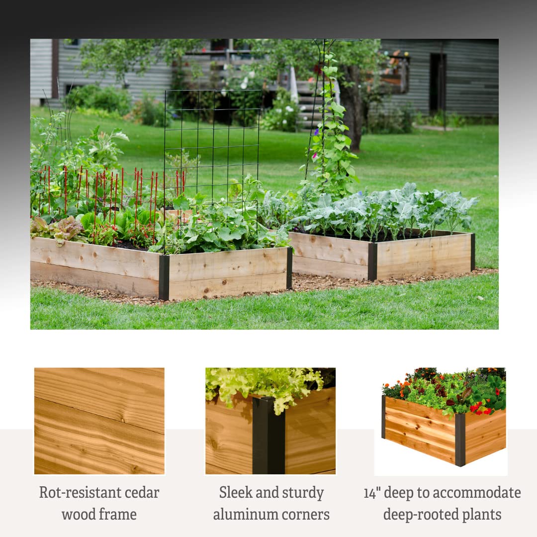 **Extra Deep Raised Garden Bed 4'x8'x14