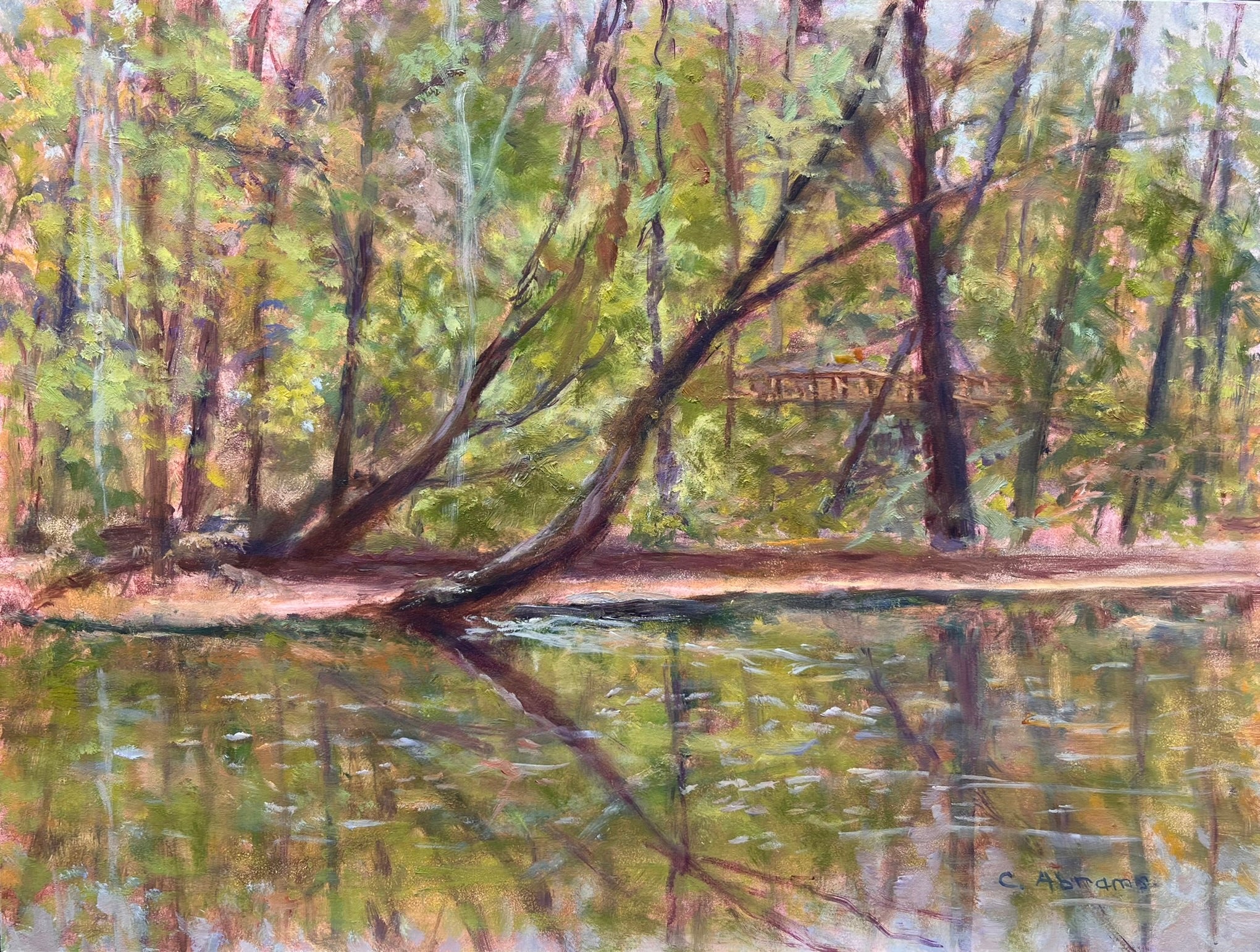 Celia Abrams: Crum Creek Reflections - Original Landscape Painting for Home & Office Decor | Perfect Gift for Art Lovers & Nature Enthusiasts