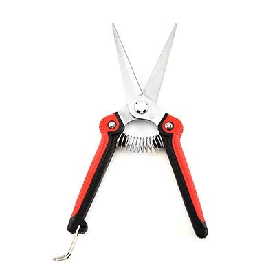 Stainless Steel Garden Pruning Shears - Professional Gardening Scissors for Trimming Trees, Flowers & Branches | Heavy Duty Plant Trimmer Tool for Home Gardeners & Landscaping Use