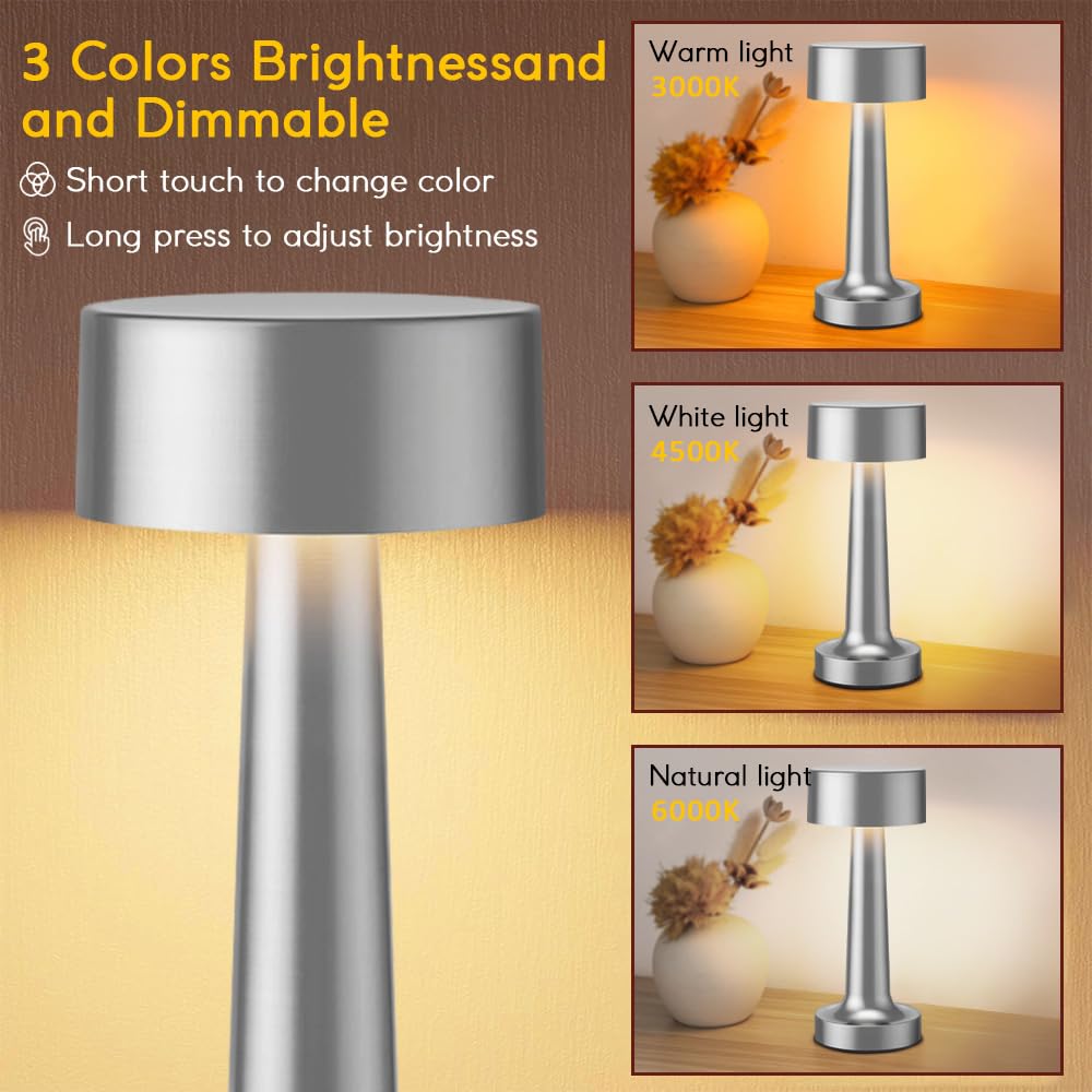 Portable LED Table Lamp with 3-Level Brightness & Touch Control - Rechargeable Metal Desk Lamp in Silver | Perfect for Bedside, Nightstand, Living Room & Office Lighting
