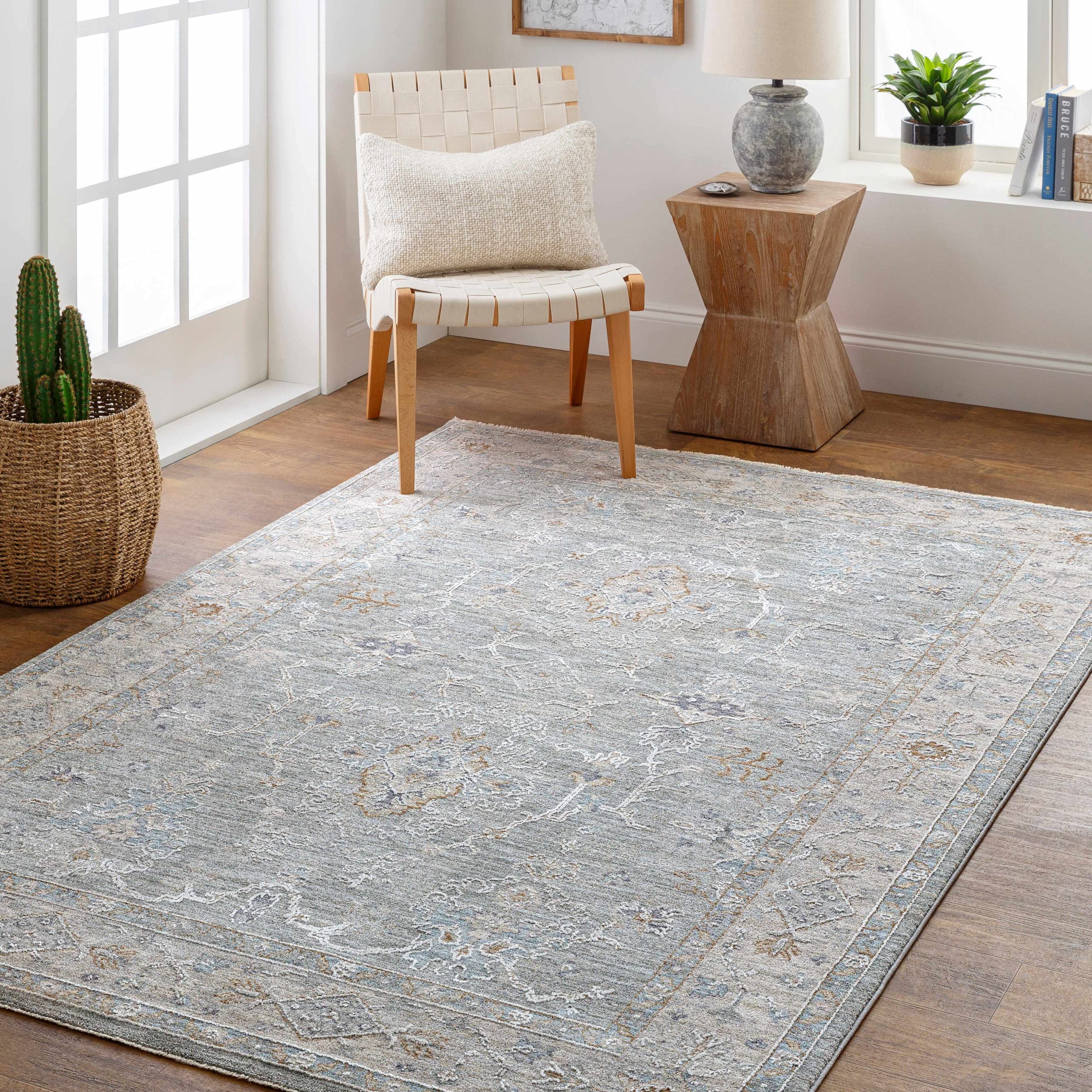 Hauteloom Clem Soft Area Rug for Living Room & Bedroom - 2' x 3'11