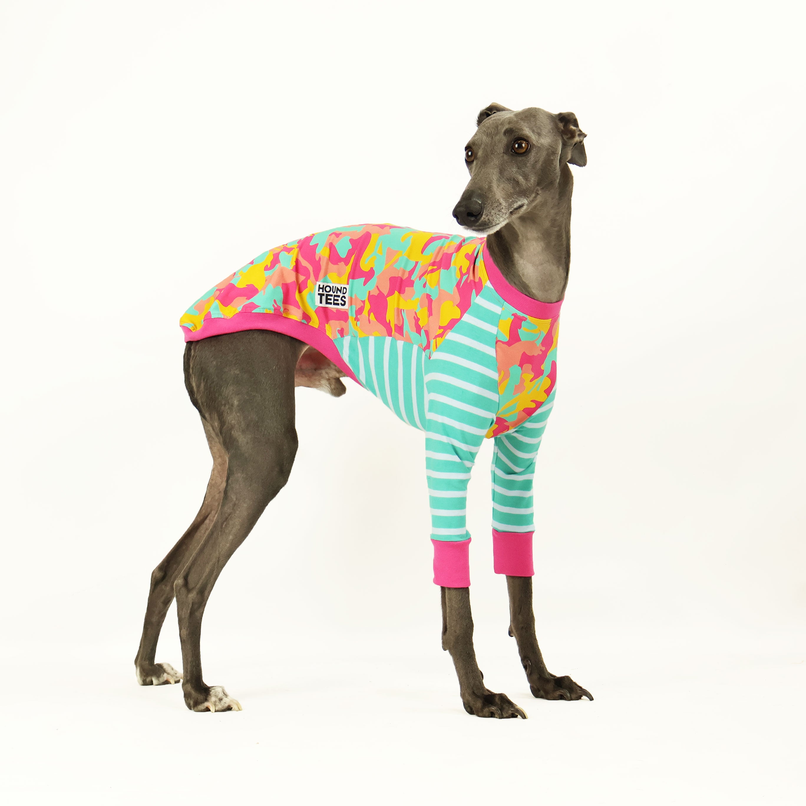 Houndini Candy Whippet Dog Long Sleeve T-Shirt for Pet Lovers - Soft Cotton Apparel for Casual Wear & Dog Walking