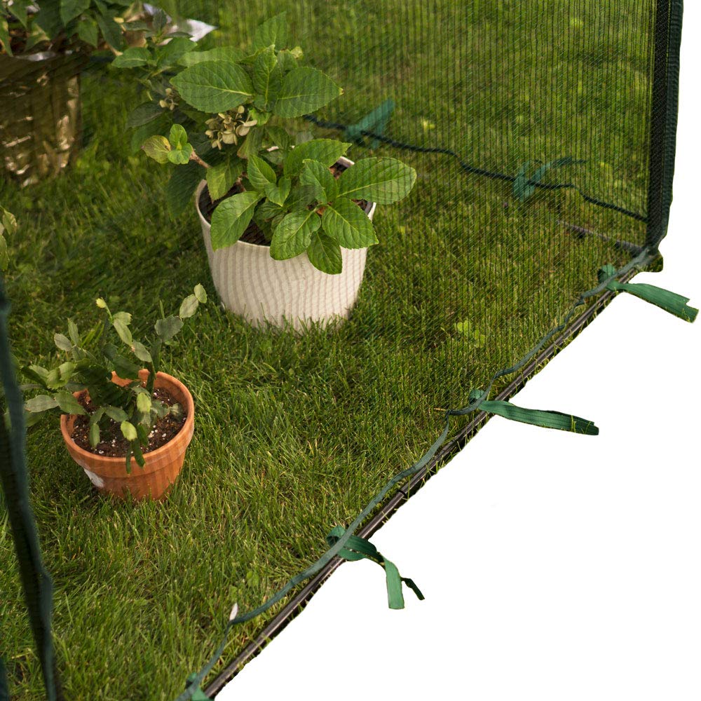 Zenport SH3288 Greenhouse for Plants - Durable Standard Size Indoor & Outdoor Gardening Solution - Perfect for Backyards, Patios, and Home Gardening Enthusiasts