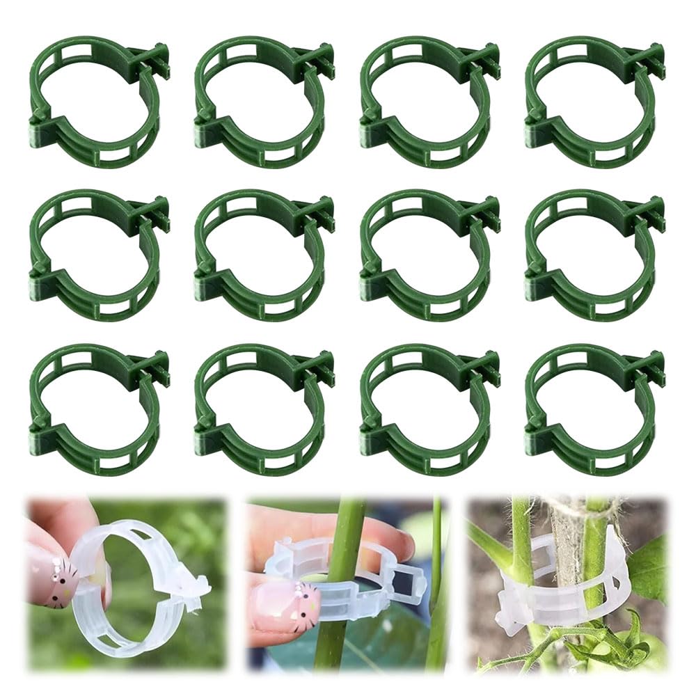 AIIONP 100-Pack Reusable Garden Clips for Plants - Premium Plastic Plant Support Clips for Tomato, Vine & Climbing Plants - Indoor/Outdoor Use - Green - Perfect for Gardening, Greenhouse & Vertical Growing
