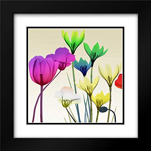 Albert Koetsier 20x20 Black Modern Framed Floral Calm Pop Art Print with Double Mat - Museum Quality Wall Decor for Living Room, Bedroom & Office