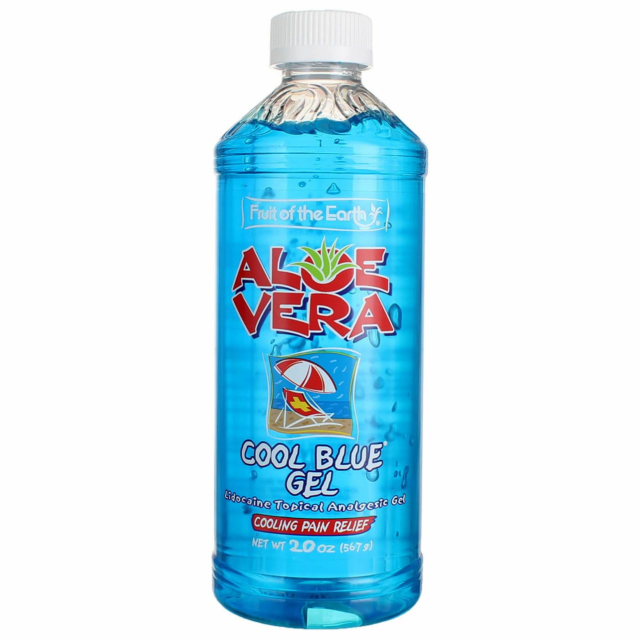 Fruit of the Earth Aloe Vera Clear Gel - 20 oz | 100% Pure Soothing Moisturizer for Sunburn, Dry Skin & Hair Care | After Sun Relief & Daily Hydration