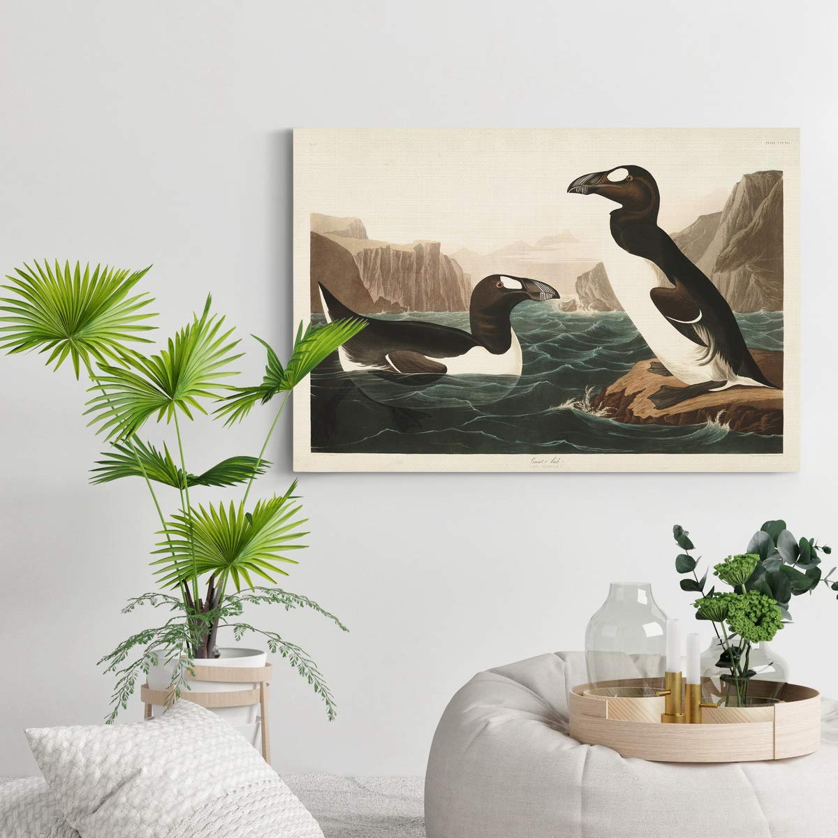 John James Audubon Great Auk Premium Canvas Wall Art - Vibrant Classic Bird Painting - 32x48 Inch Gallery Wrapped Ready-to-Hang Decor - Made in USA - Perfect for Living Room, Office or Nature-Themed Interior Design