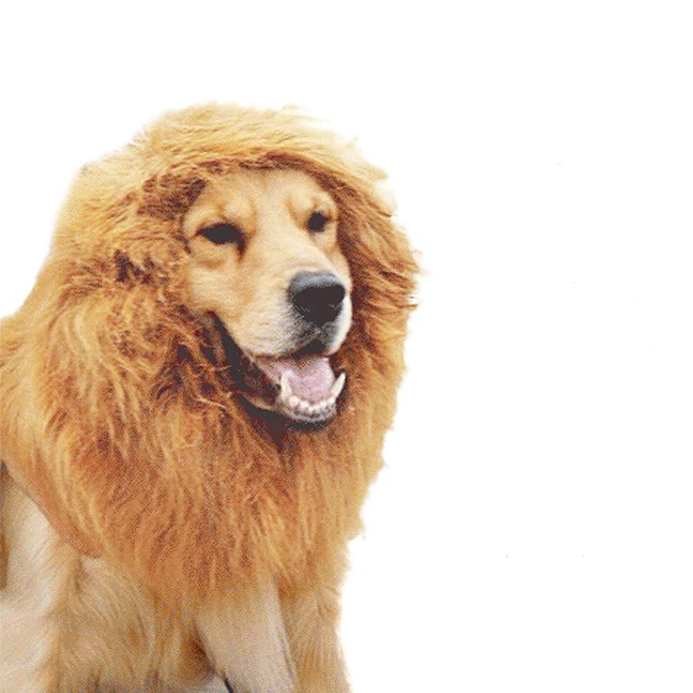VORCOOL Lion Mane Costume for Small Dogs & Cats - Pet Wig Halloween Costume with Hat & Neck Scarf - Fun Festival Outfit for Dogs, Perfect for Halloween, Parties & Photo Shoots