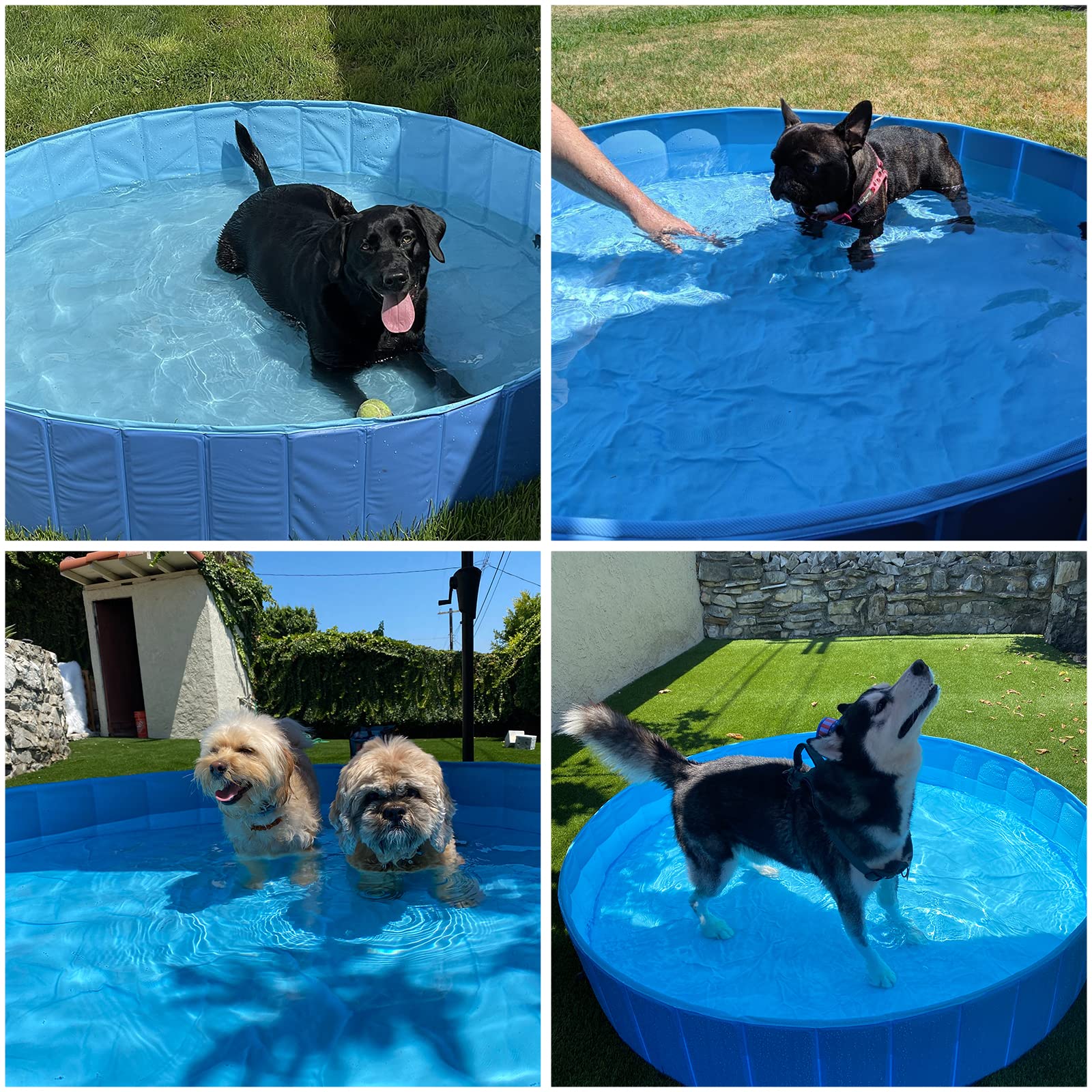 Foldable PVC Pet Swimming Pool - Portable Collapsible Dog Bath Tub for Indoor & Outdoor Use, Blue (47