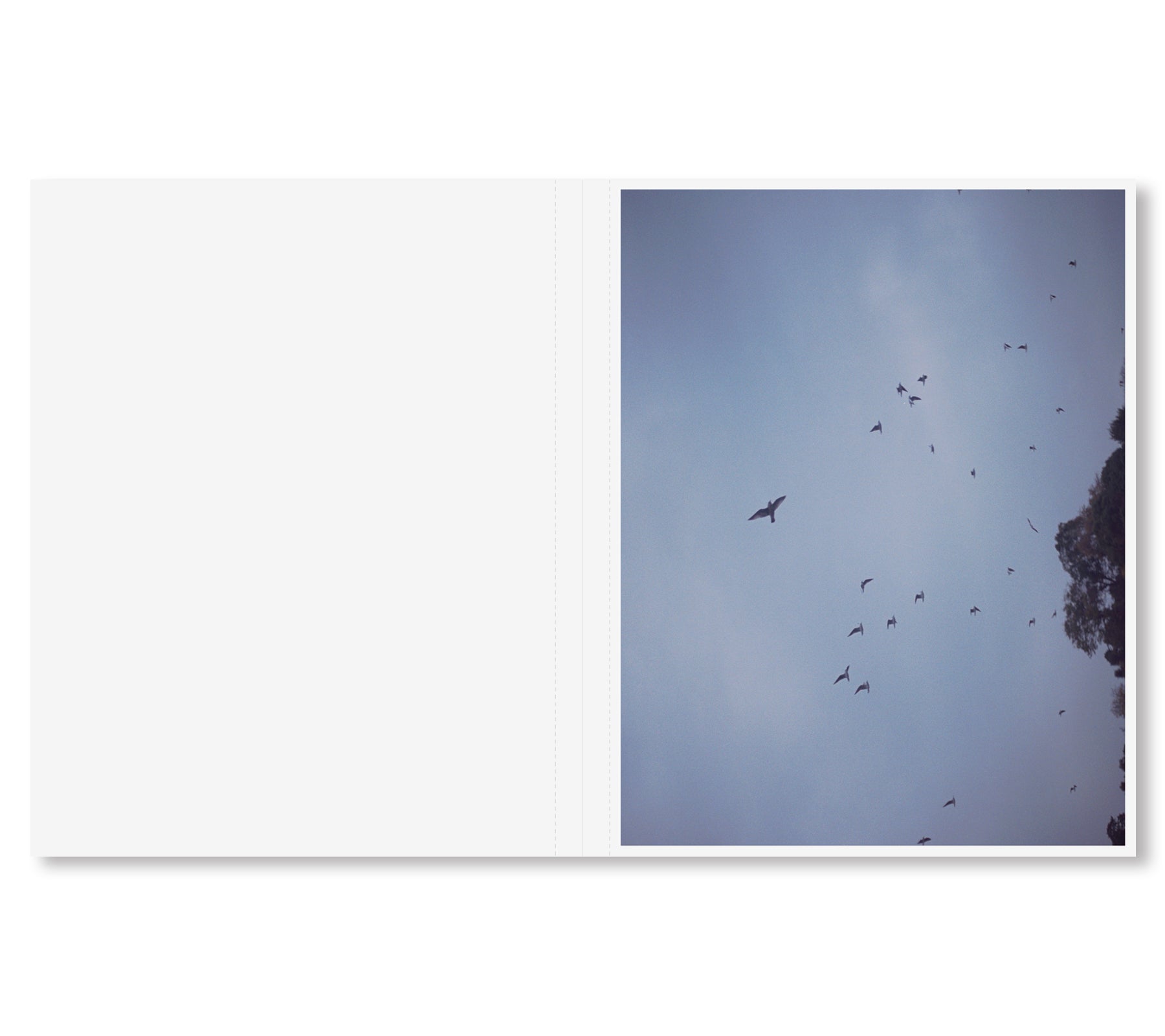 KUMO / Cloud by Osamu Yokonami - Special Edition Photography Book | Perfect for Art Collectors & Photography Enthusiasts