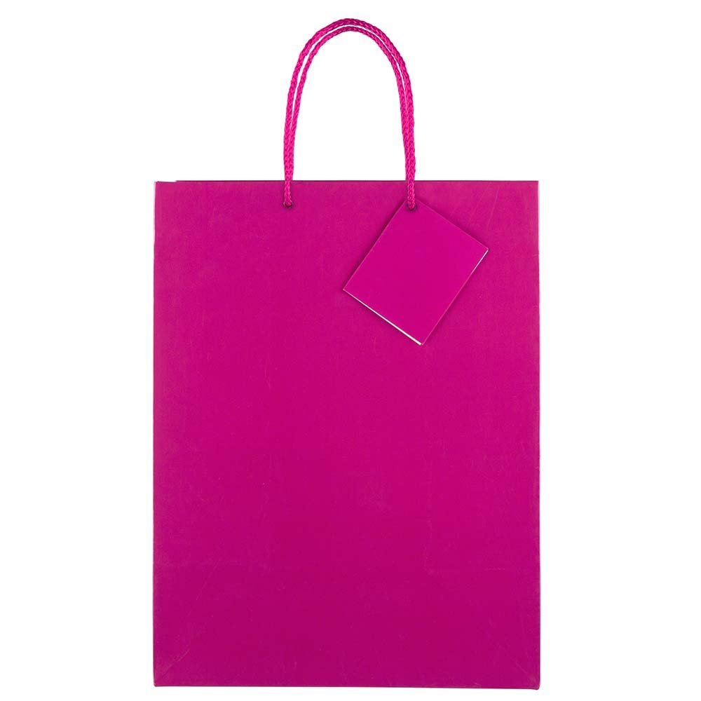 JAM Paper Glossy Gift Bags with Rope Handles - Large 10x5x13 Inches - Hot Pink - Bulk Pack of 100 - Perfect for Birthday Parties, Weddings & Holiday Gifts