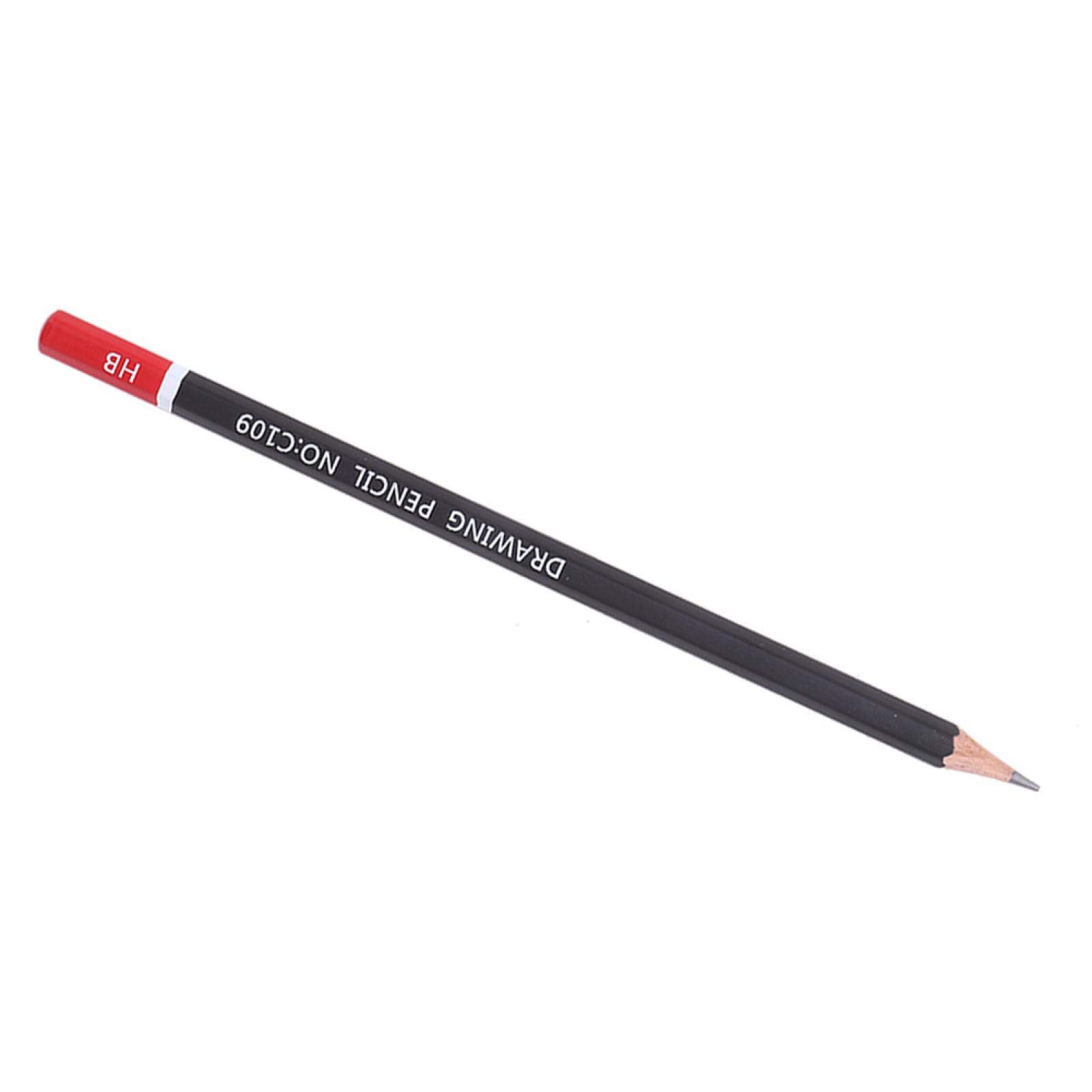 12-Piece Professional Sketching Pencils Set - HB Drawing Pencils for Artists, Beginners & Sketching - Ideal for Sketching, Shading, Doodling & Art Projects