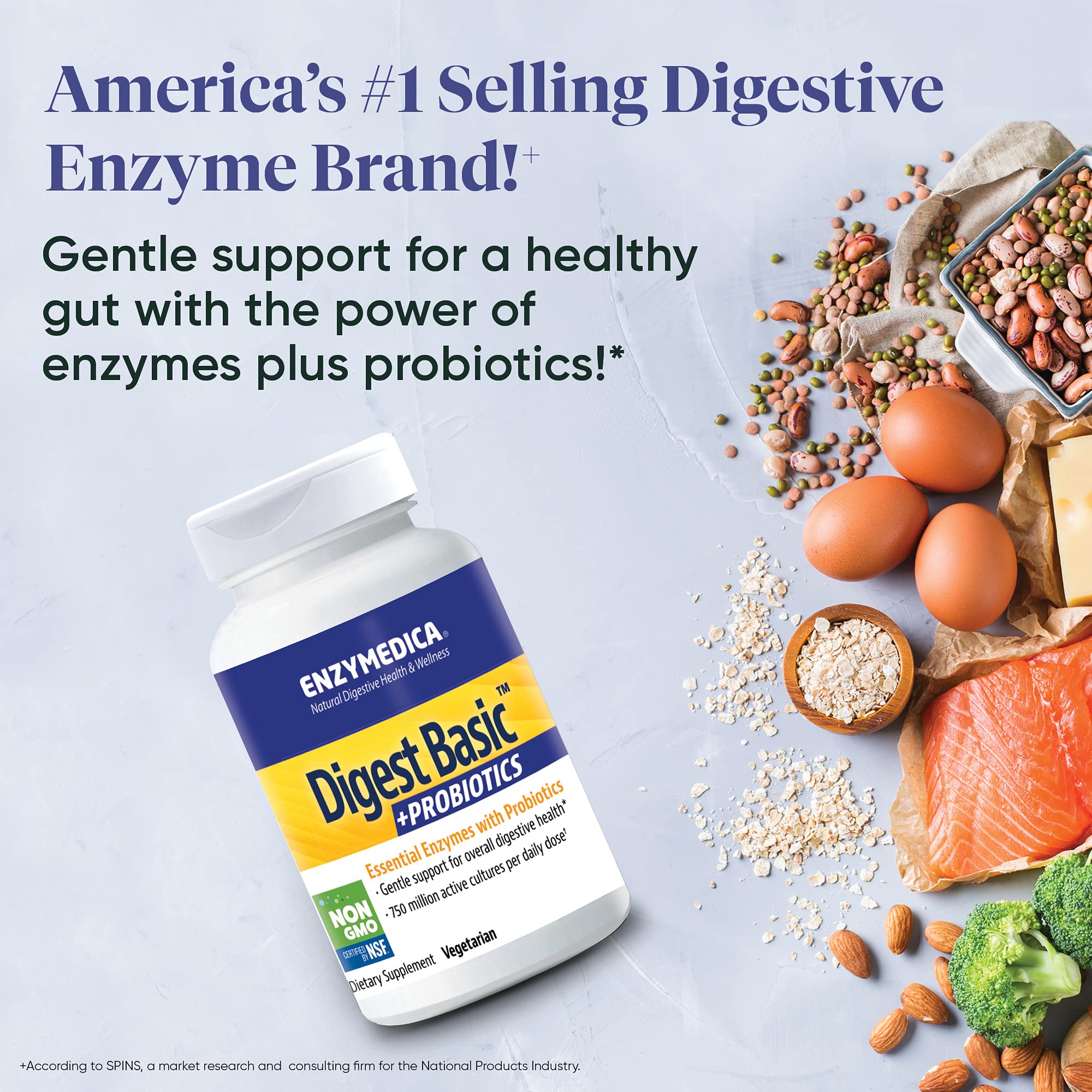 Enzymedica Digest Basic + Probiotics 30 Capsules - Digestive Enzyme Supplement with Probiotics for Gut Health & Bloating Relief - Supports Digestion After Meals & Travel