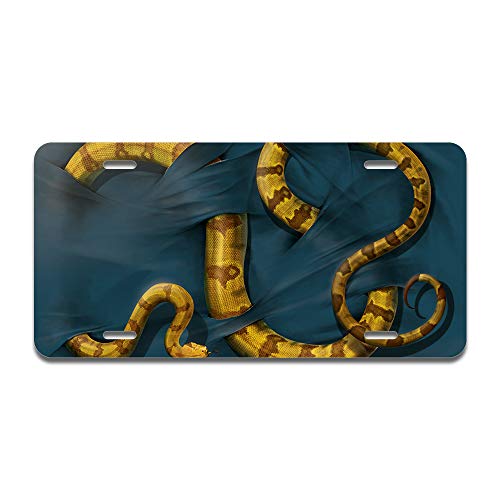 Boa Constrictor