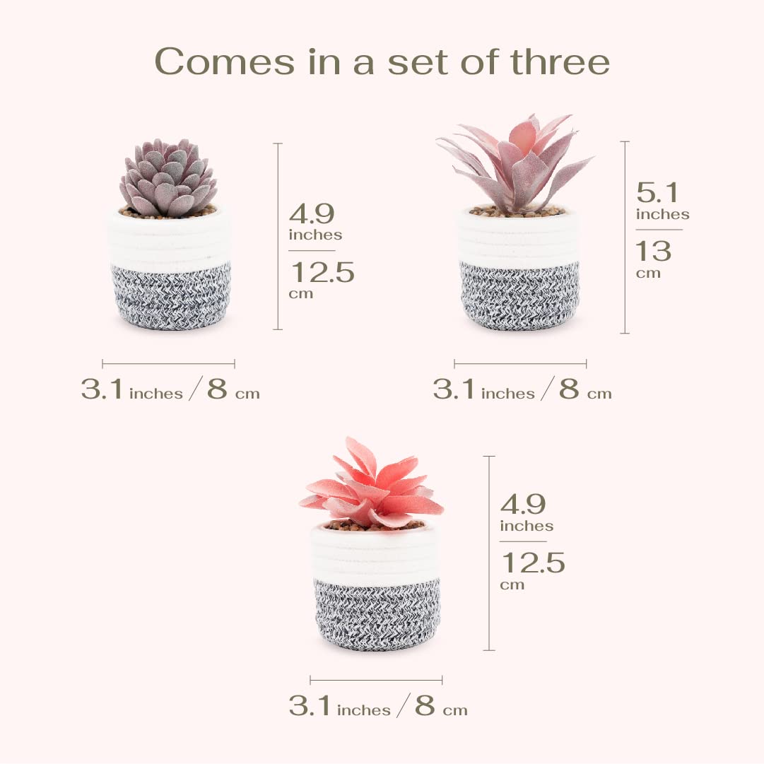 3Pcs Fake Succulent Plants in Boho Rope Basket Set - Farmhouse Faux Cactus Decor for Home, Office, Bedroom, Bathroom, Kitchen & Shelf - Perfect for Boho, Farmhouse & Modern Interior Design Styles