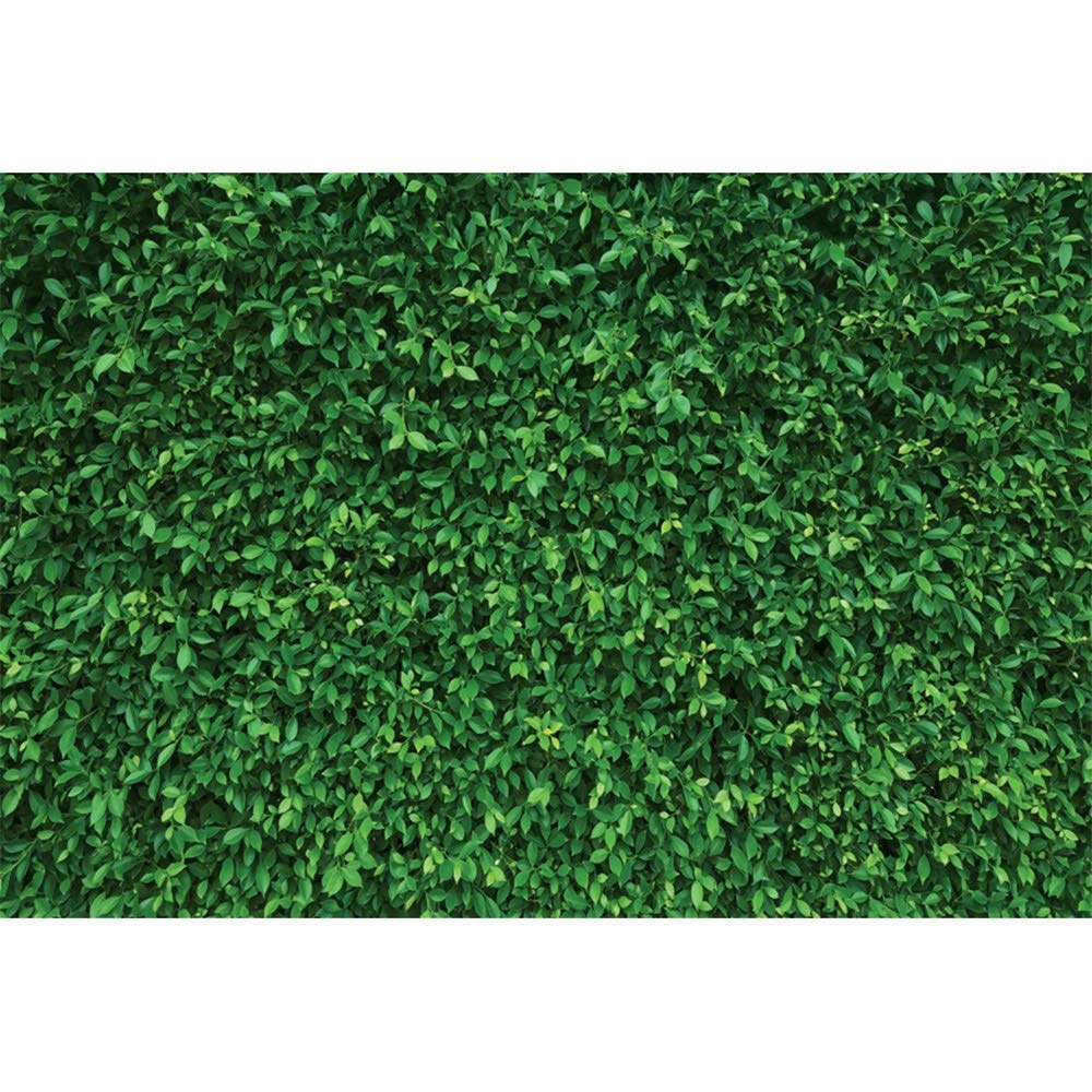5x3ft Green Leaves Grass Vinyl Backdrop for Cake Smash, 1st Birthday, Baby Shower, Bridal Shower, Grad Party & Photography - Spring Themed Photo Prop for YouTube, Tea Parties & Events