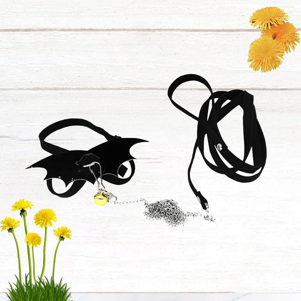 Turtle Leash with Comfortable Wing Harness - Adjustable Reptile Leash for Tortoise, Iguana & Small Pets - Perfect for Outdoor Walks, Backyard Play & Safe Exploration