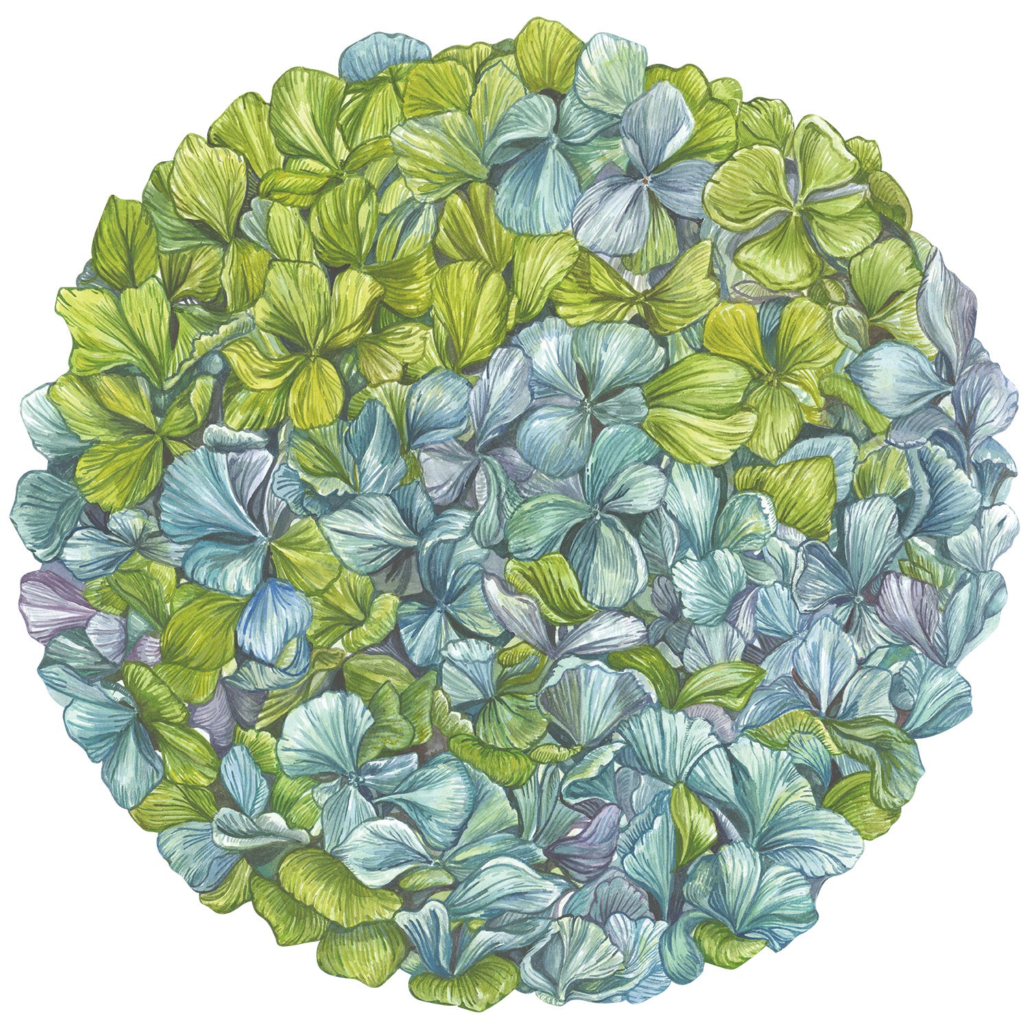 Premium Die-Cut Hydrangea Placemats - Waterproof Vinyl Table Mats for Dining, Kitchen, and Party Decor - Set of 4 Floral Table Setting Accessories