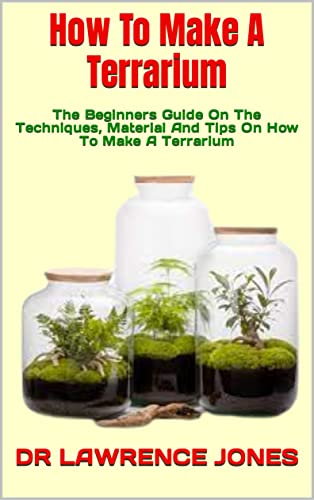 How to Make a Terrarium - Beginner's Guide with Techniques, Materials & Tips | DIY Indoor Garden Decor for Home & Office