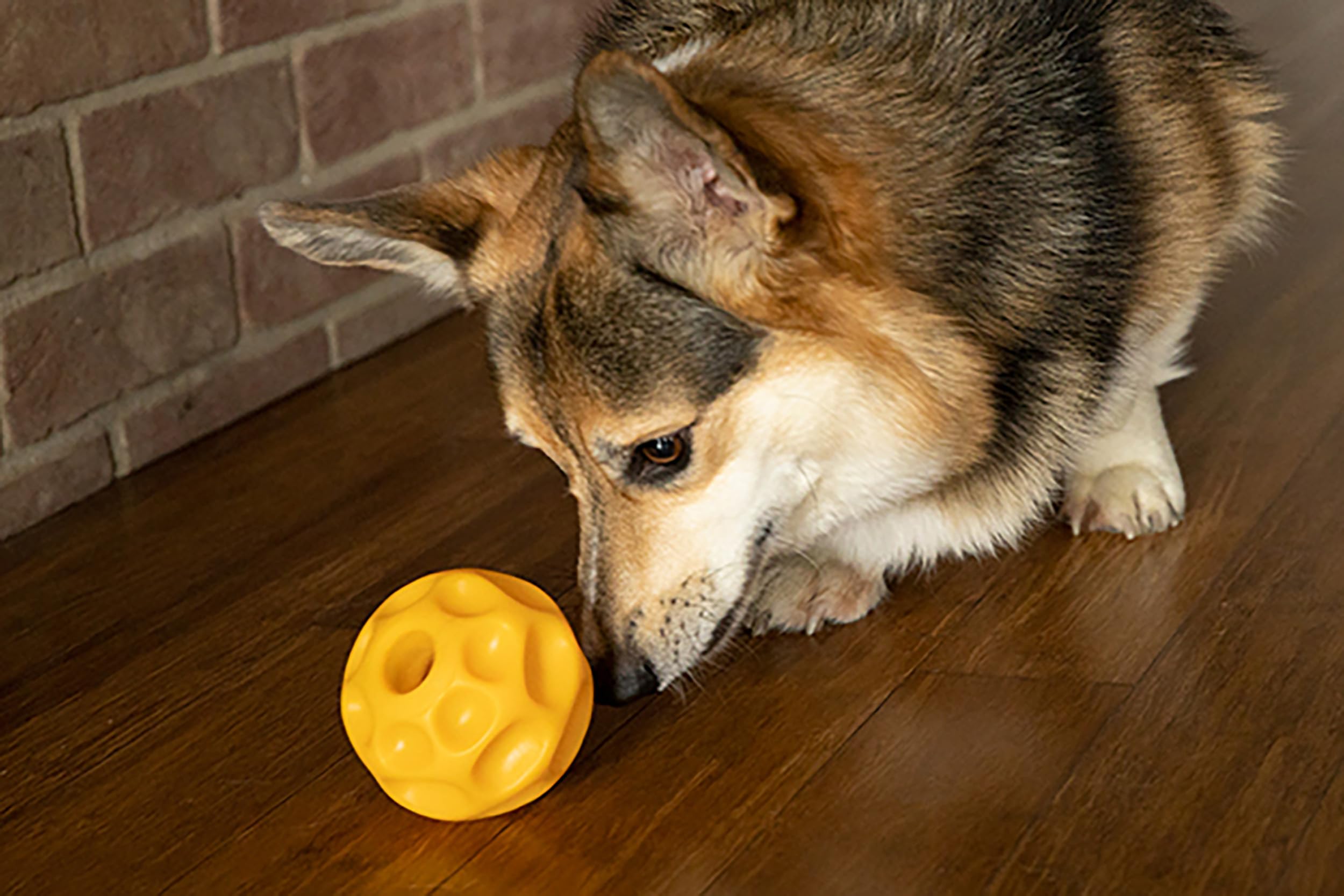 Starmark Treat Dispensing Tetraflex Interactive Dog Chew Toy for Small Dogs - Perfect for Training, Boredom Relief & Dental Health