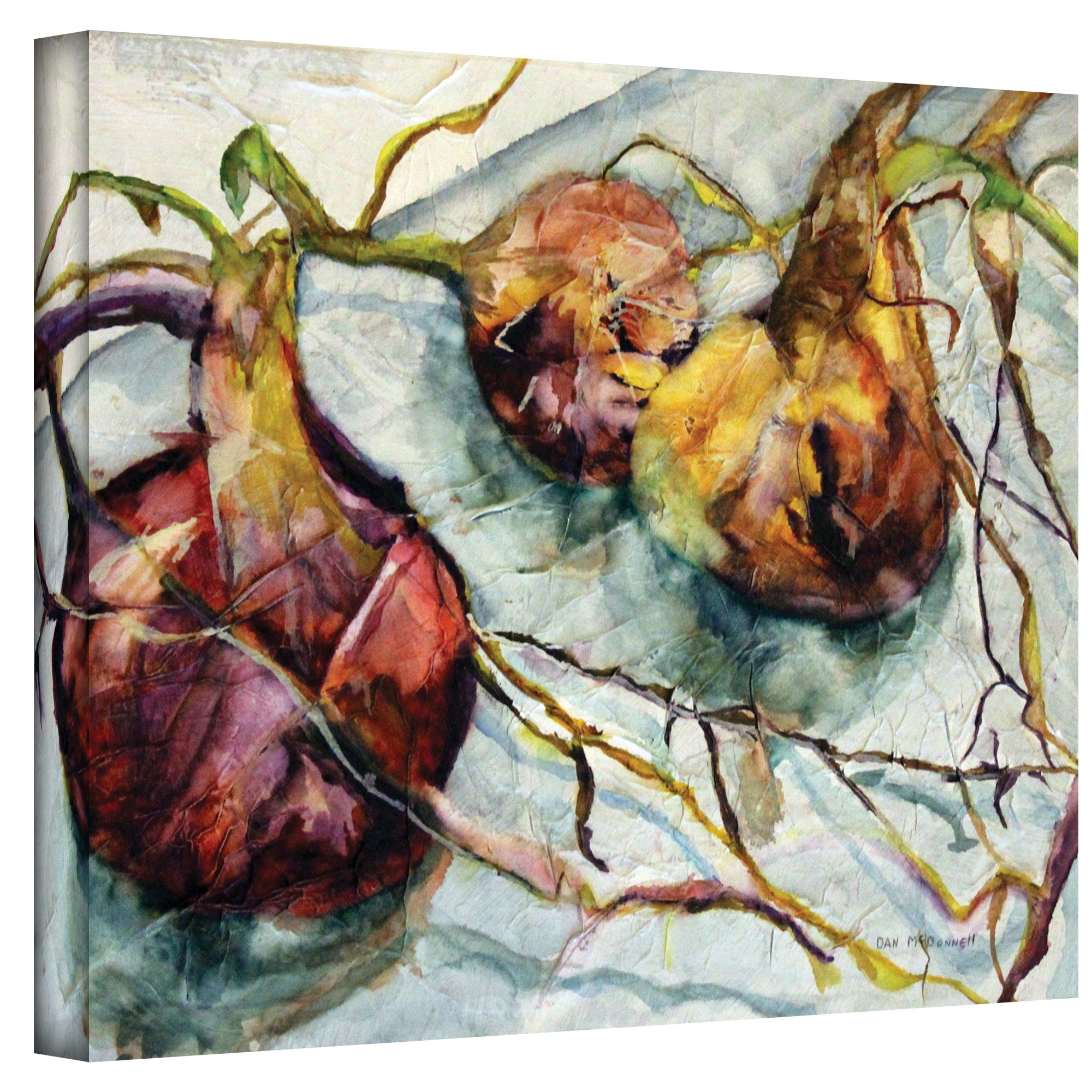 Dan McDonnell Art Wall Onions Gallery Wrapped Canvas Print - 14x18 Inch Modern Kitchen Decor, Dining Room Wall Art, Farmhouse Style Home Decor