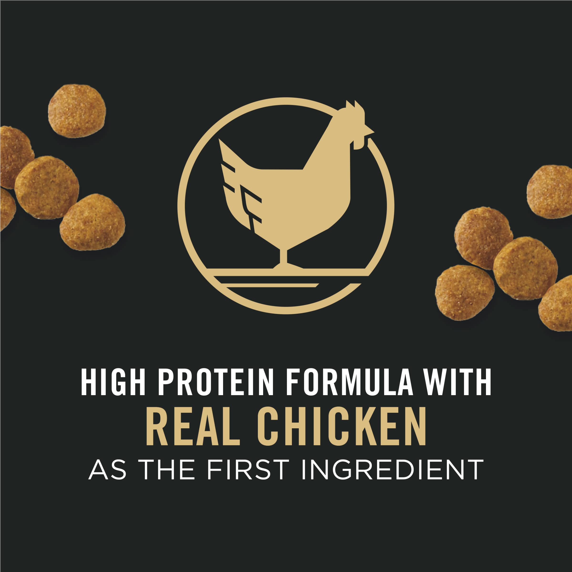 Purina Pro Plan Puppy Dry & Wet Dog Food Bundle - High Protein Puppy Food for Small & Large Breed Dogs - Complete Nutrition for Growth & Development - Ideal for Training, Weaning & Daily Feeding