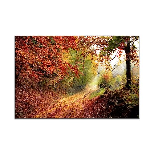 Landscape-07