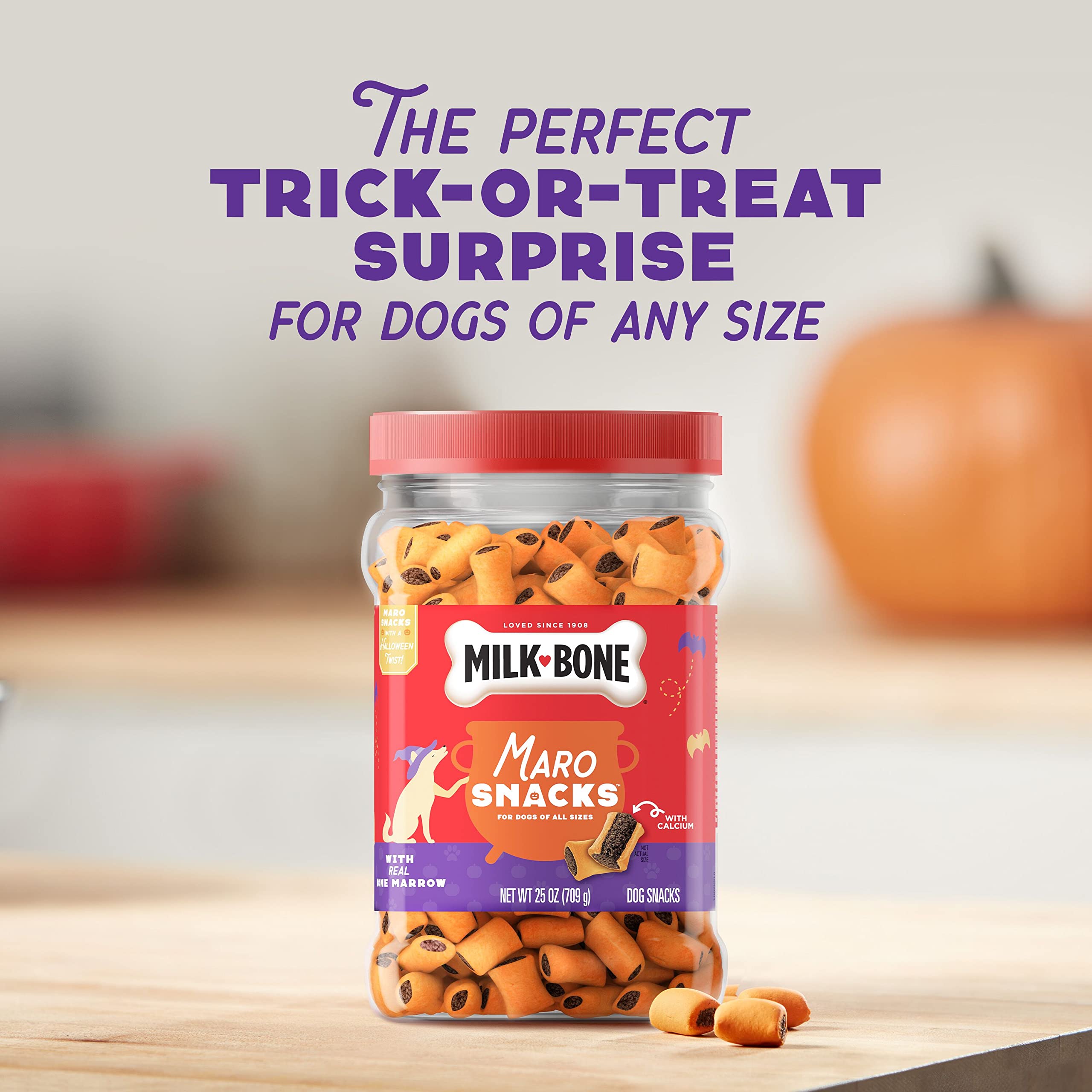 Milk-Bone MaroSnacks Dog Treats for Halloween - Crunchy & Delicious 25oz Canister - Perfect for Training, Rewards & Holiday Celebrations