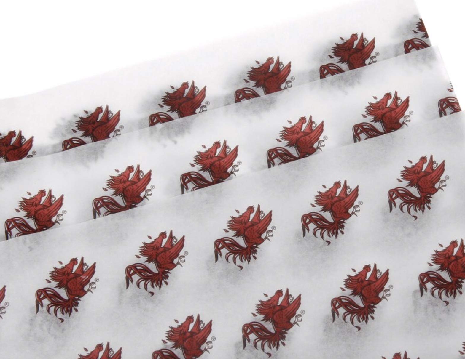 Westrick NCAA South Carolina Gamecocks White Team Logo Printed Tissue Paper - Perfect for Game Day Decorations, Gift Wrapping & School Spirit Events