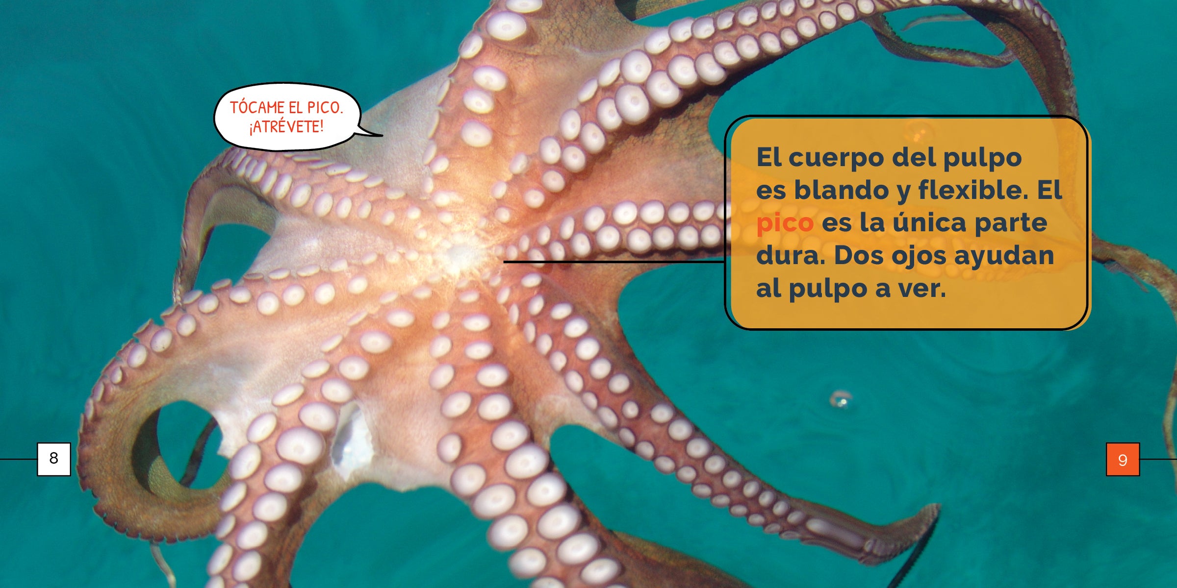 Octopus Wonders - Stunning Octopus Decor for Home & Office | Perfect for Marine Lovers, Aquarium Enthusiasts, and Unique Gift Ideas