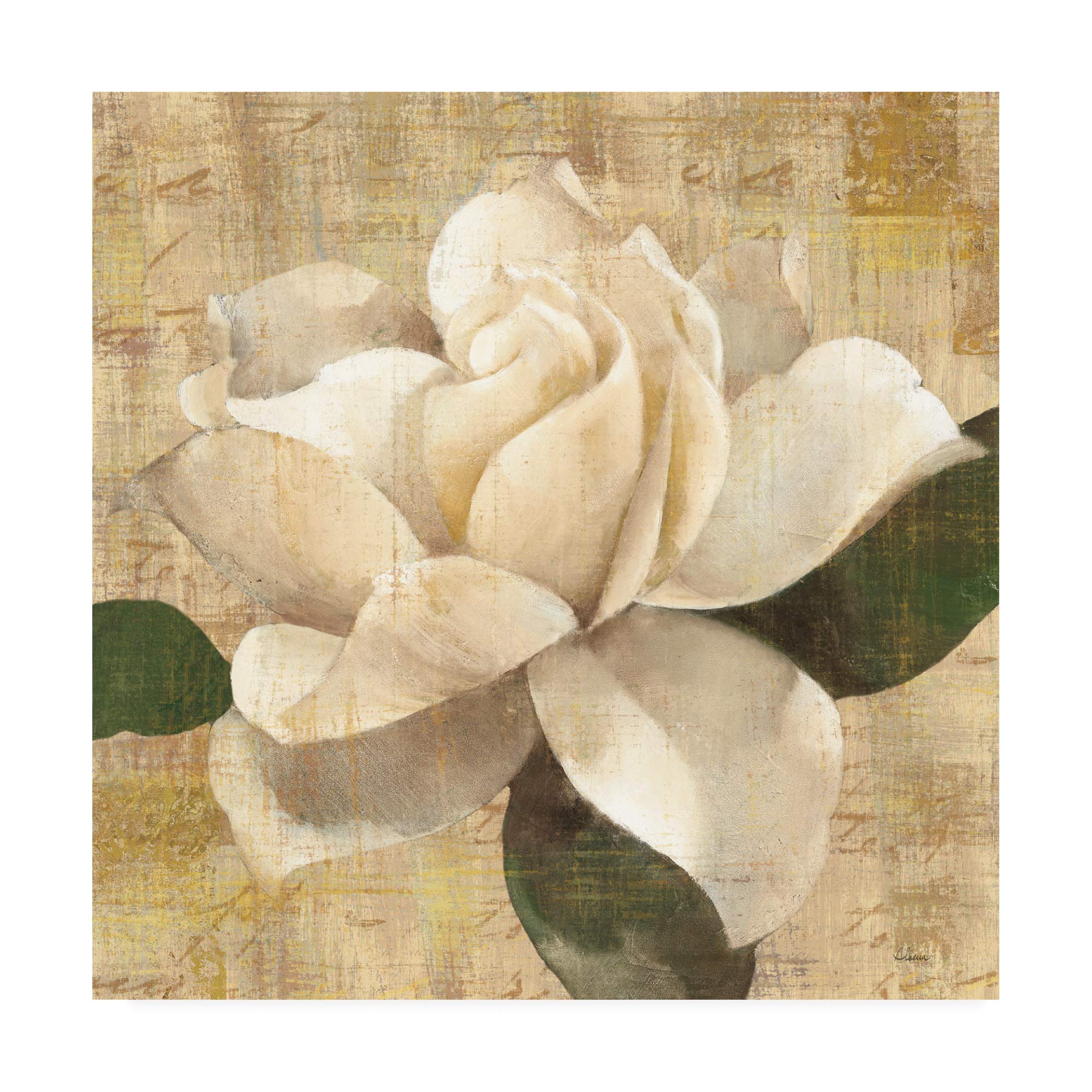Albena Hristova Gardenia Blossom On Script Canvas Art Print - 18x18 Inch Floral Wall Decor for Living Room, Bedroom & Office