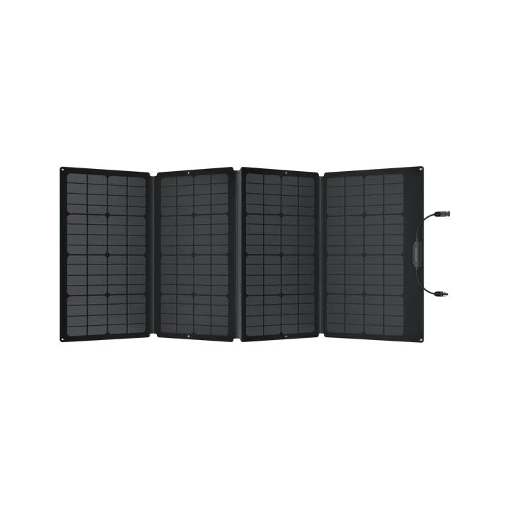 EcoFlow DELTA 2 Portable Power Station with 160W Solar Panel - Solar Generator for Camping, RV, Emergency Backup & Off-Grid Power