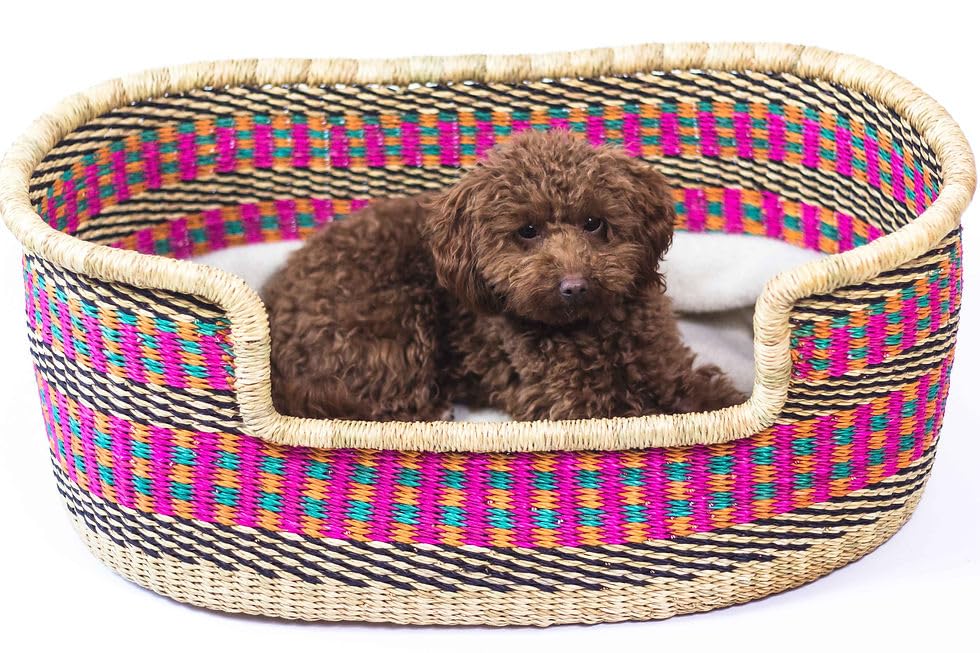 Handmade African Woven Dog Basket - Small, Medium & Large Bolga Pet Bed with Mattress | Natural Wicker Puppy Bed for Indoor & Outdoor Use | Cozy Dog Furniture for Living Room, Patio or Bedroom