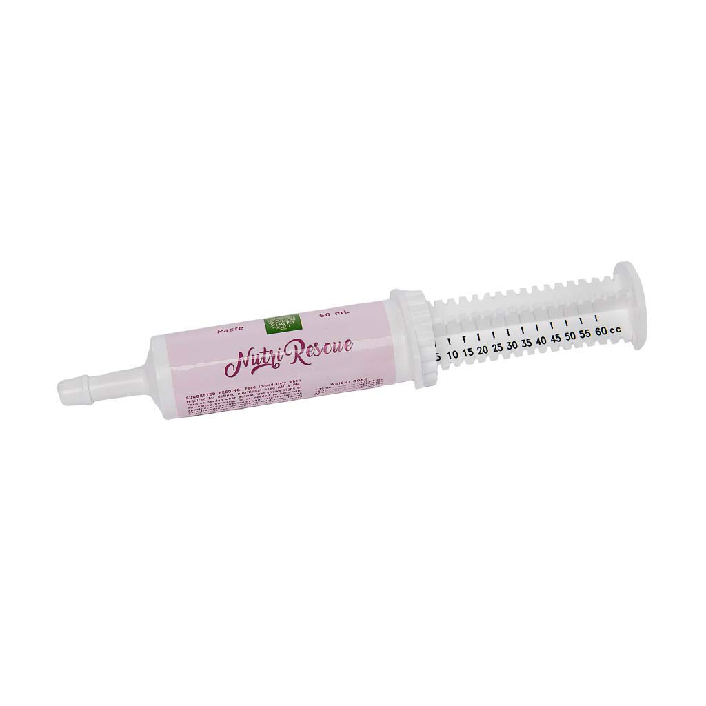 Small Pet Nutri-Rescue Fast GI Support (60ml) for Digestive Health