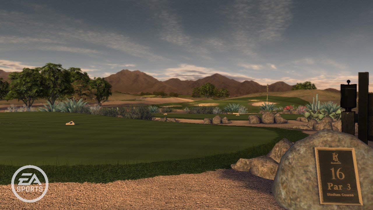 Tiger Woods PGA Tour 11 for PlayStation 3 - Pre-Owned Golf Video Game | Sports Simulation for Home Entertainment & Family Game Night