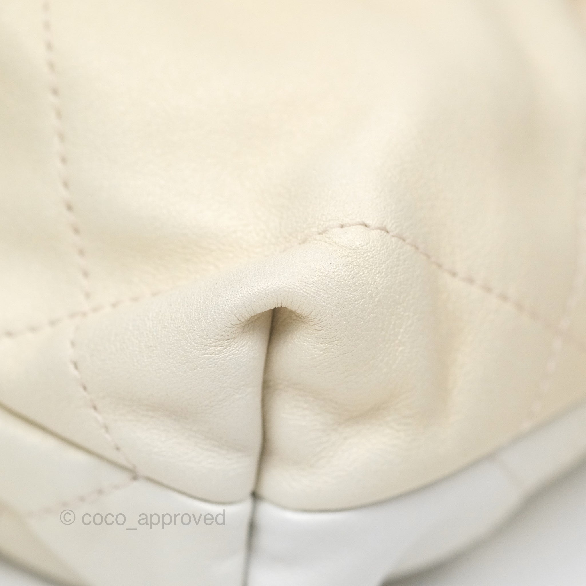 Chanel 22 Mini Bag Iridescent Light Pearly Calfskin with Aged Gold Hardware | Luxury Crossbody Purse for Women | Perfect for Evening Parties, Date Nights & Special Occasions
