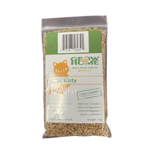 Organic Cat Grass Growing Kit - Lucky Kitty Wheatgrass Seeds & Soil Refill Pack for Indoor Cats | Grow Fresh Cat Grass at Home for Healthy Digestion & Playtime Enrichment