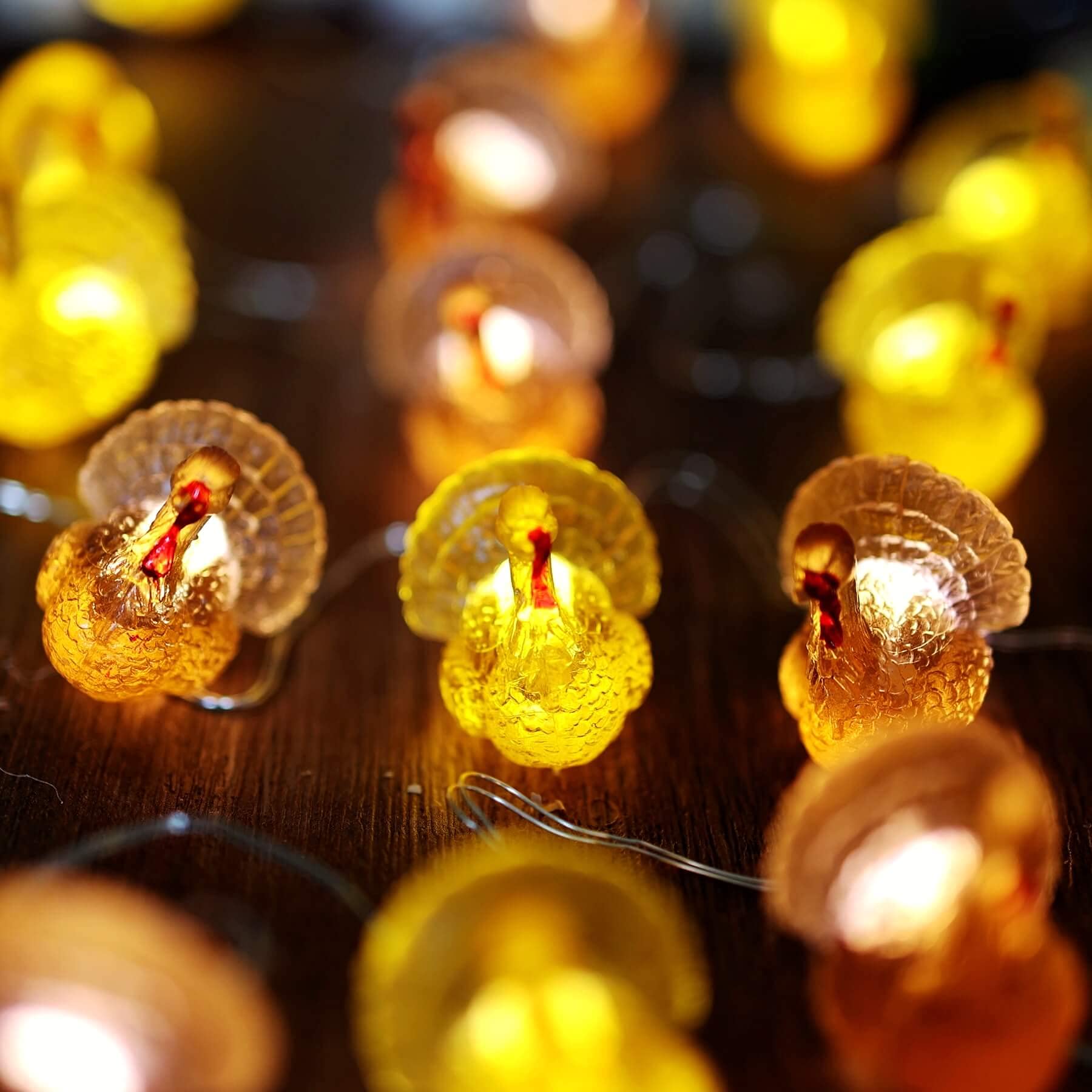 JASHIKA 50 LED Turkey String Lights - Fall Decorations for Thanksgiving, Harvest Party, Home & Outdoor Holiday Lighting - Perfect for Fireplace, Mantel, Porch and Garden Decor