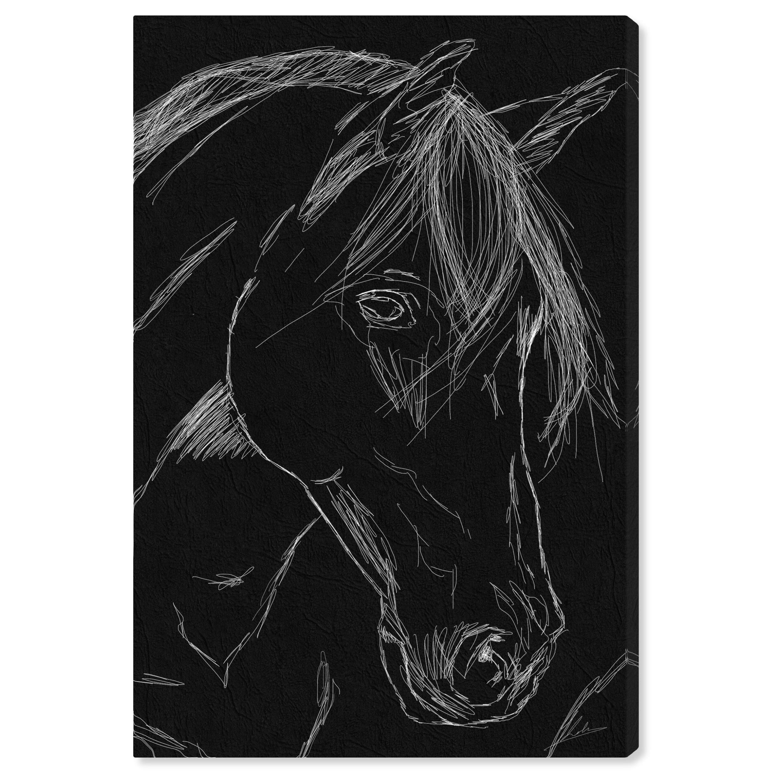 Horse Sketch Wall Art Canvas Print - 24