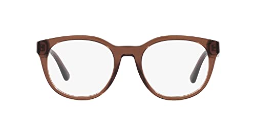 Shiny Transparent Brown/Demo Lens