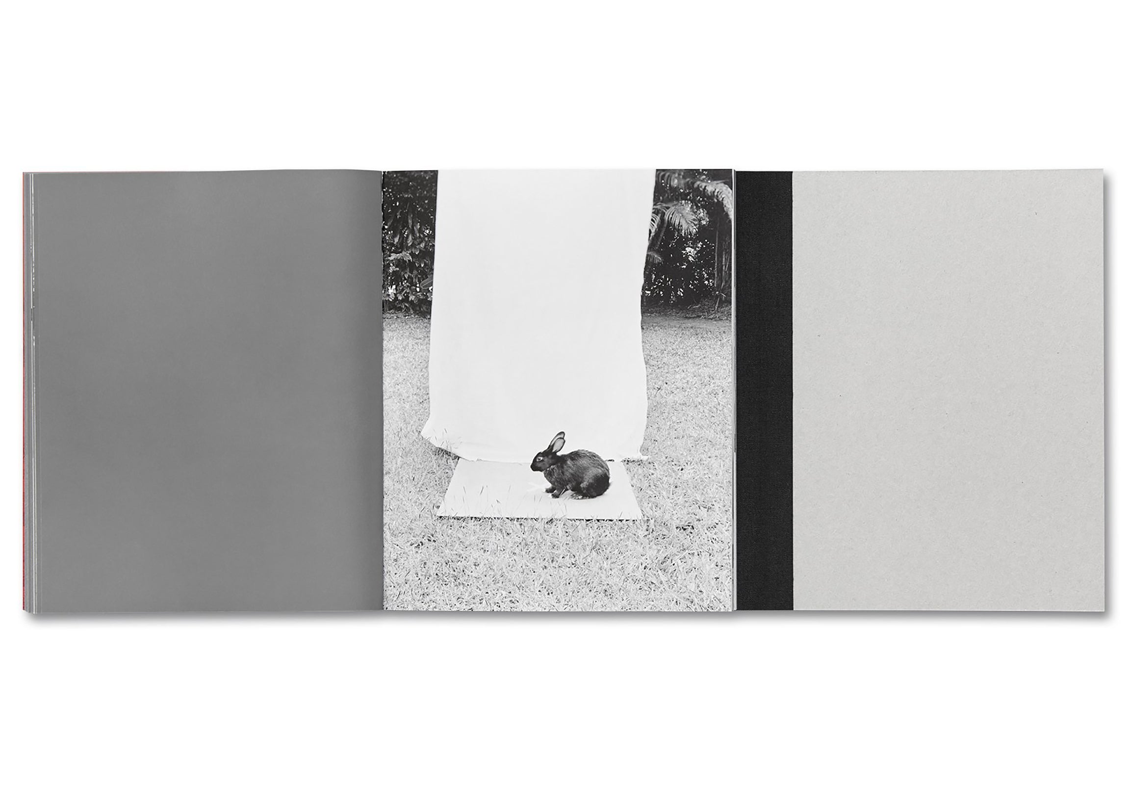 OOBANKEN by Jerome Ming - Signed Collectible Art Book - Perfect for Art Lovers & Collectors